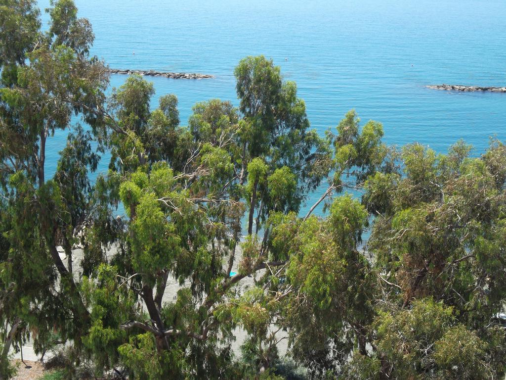 Myria Court Lägenhet Limassol Exteriör bild